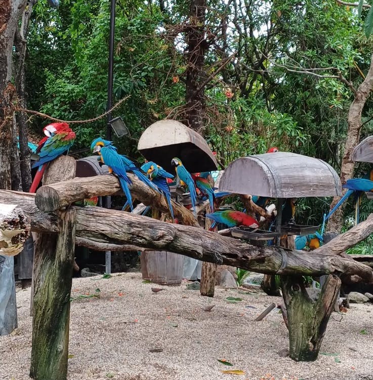 Safari World Bangkok